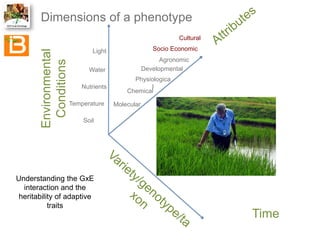 The Crop Ontology: a resource for enabling access to breeders’ data 