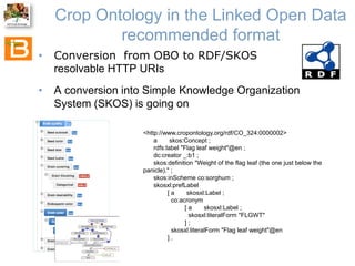 The Crop Ontology: a resource for enabling access to breeders’ data 