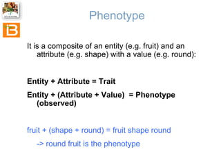 Phenotype
It is a composite of an entity (e.g. fruit) and an
attribute (e.g. shape) with a value (e.g. round):

Entity + A...