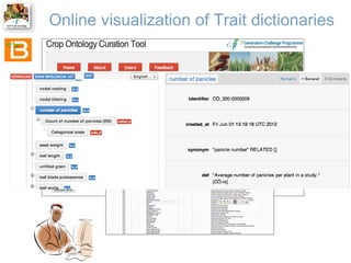 Online visualization of Trait dictionaries

 