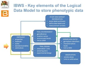 IBWS - Key elements of the Logical
Data Model to store phenotypic data

 