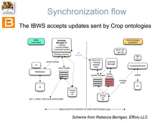 Synchronization flow
The IBWS accepts updates sent by Crop ontologies

Schema from Rebecca Berrigan, Efficio LLC

 