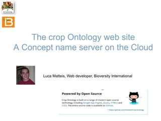 The crop Ontology web site
A Concept name server on the Cloud

Luca Matteis, Web developer, Bioversity International

 
