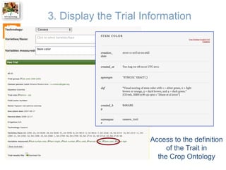 3. Display the Trial Information

Access to the definition
of the Trait in
the Crop Ontology

 