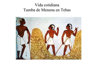 Vida cotidiana
Tumba de Menena en Tebas
 