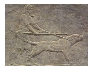 12/04/17 Pilar Morollón 22
 