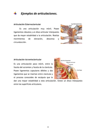 8
Ejemplos de articulaciones.
Articulación Esternoclavicular
Es una articulación muy móvil. Posee
ligamentos robustos y un disco articular interpuesto
que da mayor estabilidad a la articulación. Realiza
movimientos de elevación, descenso y
circunducción.
Articulación Acromioclavicular
Es una articulación poco móvil, entre la
faceta del acromion y faceta de la clavícula.
Posee ligamentos capsulares débiles y dos
ligamentos que se insertan entre clavícula y
el proceso coracoides de escápula que le
dan una mayor estabilidad a esta articulación. Existe un disco interpuesto
entre las superficies articulares.
 