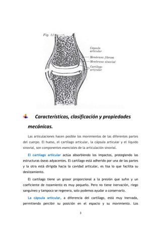 3
Características, clasificación y propiedades
mecánicas.
Las articulaciones hacen posible los movimientos de las diferentes partes
del cuerpo. El hueso, el cartílago articular, la cápsula articular y el líquido
sinovial, son componentes esenciales de la articulación sinovial.
El cartílago articular actúa absorbiendo los impactos, protegiendo las
estructuras óseas adyacentes. El cartílago está adherido por una de las partes
y la otra está dirigida hacia la cavidad articular, es lisa lo que facilita su
deslizamiento.
El cartílago tiene un grosor proporcional a la presión que sufre y un
coeficiente de rozamiento es muy pequeño. Pero no tiene inervación, riego
sanguíneo y tampoco se regenera, solo podemos ayudar a conservarlo.
La cápsula articular, a diferencia del cartílago, está muy inervada,
permitiendo percibir su posición en el espacio y su movimiento. Los
 