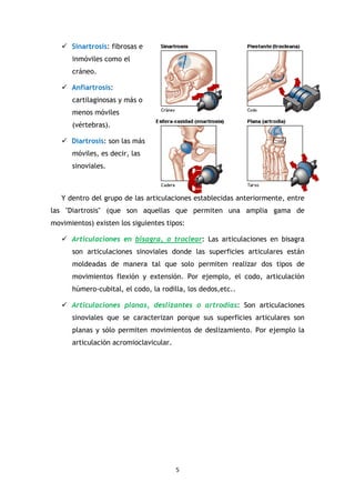 5
Sinartrosis: fibrosas e
inmóviles como el
cráneo.
Anfiartrosis:
cartilaginosas y más o
menos móviles
(vértebras).
Diartrosis: son las más
móviles, es decir, las
sinoviales.
Y dentro del grupo de las articulaciones establecidas anteriormente, entre
las "Diartrosis" (que son aquellas que permiten una amplia gama de
movimientos) existen los siguientes tipos:
Articulaciones en bisagra, o troclear: Las articulaciones en bisagra
son articulaciones sinoviales donde las superficies articulares están
moldeadas de manera tal que solo permiten realizar dos tipos de
movimientos flexión y extensión. Por ejemplo, el codo, articulación
húmero-cubital, el codo, la rodilla, los dedos,etc..
Articulaciones planas, deslizantes o artrodias: Son articulaciones
sinoviales que se caracterizan porque sus superficies articulares son
planas y sólo permiten movimientos de deslizamiento. Por ejemplo la
articulación acromioclavicular.
 