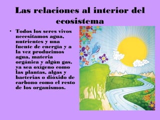 Las relaciones al interior del
ecosistema
• Todos los seres vivos
necesitamos agua,
nutrientes y una
fuente de energía y a
la vez producimos
agua, materia
orgánica y algún gas,
ya sea oxígeno como
las plantas, algas y
bacterias o dióxido de
carbono como el resto
de los organismos.
 