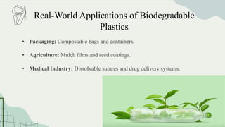 Advantages of Using Superbugs
• Accelerate the Breakdown of Non-Biodegradable Plastics: Non-
biodegradable plastics like PET (polyethylene terephthalate) and
polyurethane are highly resistant to natural degradation, persisting in the
environment for centuries.
• Reduce Microplastic Accumulation in the Environment: Microplastics tiny
fragments of plastic that result from the breakdown of larger items pose a
significant threat to ecosystems and human health.
• Offer a Scalable Solution for Cleaning Marine and Terrestrial Ecosystems:
One of the most compelling advantages of superbugs is their potential for
scalability in environmental applications.
Real-World Applications of Biodegradable
Plastics
• Packaging: Compostable bags and containers.
• Agriculture: Mulch films and seed coatings.
• Medical Industry: Dissolvable sutures and drug delivery systems.
 