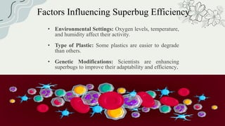 Factors Influencing Superbug Efficiency
• Environmental Settings: Oxygen levels, temperature,
and humidity affect their activity.
• Type of Plastic: Some plastics are easier to degrade
than others.
• Genetic Modifications: Scientists are enhancing
superbugs to improve their adaptability and efficiency.
 