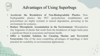Advantages of Using Superbugs
• Accelerate the Breakdown of Non-Biodegradable Plastics: Non-
biodegradable plastics like PET (polyethylene terephthalate) and
polyurethane are highly resistant to natural degradation, persisting in the
environment for centuries.
• Reduce Microplastic Accumulation in the Environment: Microplastics
tiny fragments of plastic that result from the breakdown of larger items pose
a significant threat to ecosystems and human health.
• Offer a Scalable Solution for Cleaning Marine and Terrestrial
Ecosystems: One of the most compelling advantages of superbugs is their
potential for scalability in environmental applications.
 
