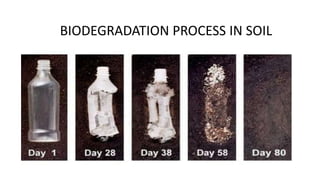BIODEGRADATION PROCESS IN SOIL
 