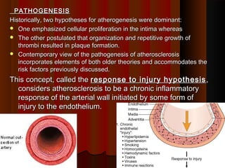 2 atherosclerosis pathology | PPT