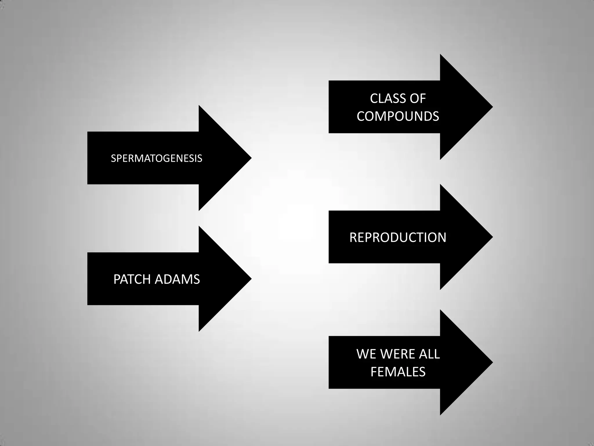 SPERMATOGENESIS
PATCH ADAMS
REPRODUCTION
CLASS OF
COMPOUNDS
WE WERE ALL
FEMALES
 