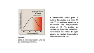 A temperatura ótima para a
maioria das enzima está entre 35
e 40 ºC. As enzimas começam a
desnaturar em temperaturas
acima de 40 ºC, porém, as
enzimas de bactérias termófilas,
encontradas em fontes de água
quente, apresentam temperatura
ótima em torno de 70 ºC.
 