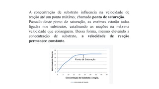 A concentração de substrato influencia na velocidade de
reação até um ponto máximo, chamado ponto de saturação.
Passado deste ponto de saturação, as enzimas estarão todas
ligadas nos substratos, catalisando as reações na máxima
velocidade que conseguem. Dessa forma, mesmo elevando a
concentração de substrato, a velocidade de reação
permanece constante.
 