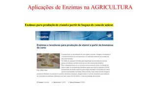 Aplicações de Enzimas na AGRICULTURA
Enzimas para produção de etanola partir de bagaço de cana de açúcar.
 