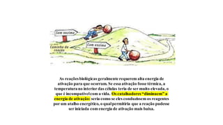 As reaçõesbiológicas geralmente requerem alta energia de
ativação para que ocorram. Se essa ativação fosse térmica, a
temperatura no interior das células teria de ser muito elevada, o
que é incompatívelcom a vida. Os catalisadores “diminuem” a
energia de ativação: seria como se eles conduzissem os reagentes
por um atalho energético, o qualpermitiria que a reação pudesse
ser iniciada com energia de ativação mais baixa.
 