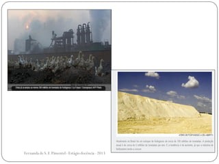 Fernanda de S.F.Pimentel - Estágio docência - 2013
 