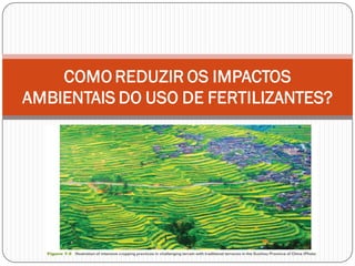 COMO REDUZIR OS IMPACTOS
AMBIENTAIS DO USO DE FERTILIZANTES?
 