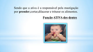 2ª AULA ANATOMIA BUCO-FACIAL ODONTO, faculdade fatra | PDF