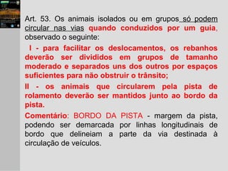 Art. 53. Os animais isolados ou em grupos só podem
circular nas vias quando conduzidos por um guia,
observado o seguinte:
I - para facilitar os deslocamentos, os rebanhos
deverão ser divididos em grupos de tamanho
moderado e separados uns dos outros por espaços
suficientes para não obstruir o trânsito;
II - os animais que circularem pela pista de
rolamento deverão ser mantidos junto ao bordo da
pista.
Comentário: BORDO DA PISTA - margem da pista,
podendo ser demarcada por linhas longitudinais de
bordo que delineiam a parte da via destinada à
circulação de veículos.
 