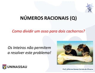 NÚMEROS RACIONAIS (Q)
Como dividir um osso para dois cachorros?
Os Inteiros não permitem
a resolver este problema!
 