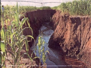 Fonte: Erosão. Santa Fé do Sul – SP. Disponível em: http://www.agr.feis.unesp.br/jregional25022005.php. Acesso em 19 nov. 2008
 