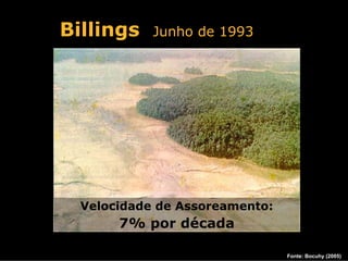 Billings    Junho de 1993




  Velocidade de Assoreamento:
       7% por década

                                Fonte: Bocuhy (2005)
 