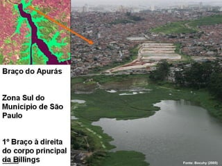 Fonte: Bocuhy (2005)
 