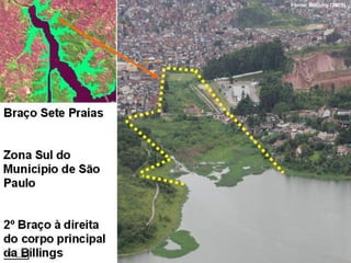 Fonte: Bocuhy (2005)
 