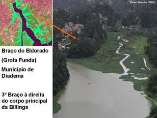 Fonte: Bocuhy (2005)
 