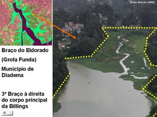 Fonte: Bocuhy (2005)
 