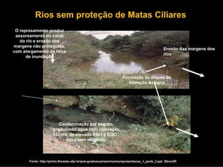 Rios sem proteção de Matas Ciliares
 O represamento produz
 assoreamento do canal
   do rio e erosão das
margens não protegidas,
                                                                                              Erosão das margens dos
com alargamento da faixa
                                                                                              rios
      de inundação



                                                                    Formação de diques de
                                                                       retenção da água




                         Contaminação por esgoto,
                      produzindo água com coloração
                      escura, de elevada DBO e DQO..
                            água sem oxigênio.



       Fonte: http://pinho.floresta.ufpr.br/pos-graduacao/seminarios/apresentacao_1_parte_3.ppt 20nov05
 