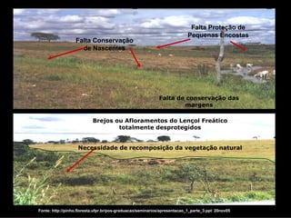 Falta Proteção de
                                                                          Pequenas Encostas
                  Falta Conservação
                    de Nascentes




                                                            Falta de conservação das
                                                                    margens

                           Brejos ou Afloramentos do Lençol Freático
                                   totalmente desprotegidos


                   Necessidade de recomposição da vegetação natural




Fonte: http://pinho.floresta.ufpr.br/pos-graduacao/seminarios/apresentacao_1_parte_3.ppt 20nov05
 