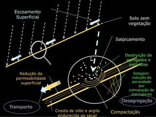 Escoamento
   Superficial                                      Solo sem
                                                    vegetação


                                               Salpicamento


                                                   Destruição de
                                                   agregados e
                                                    partículas

    Redução da                                         Selagem:
  permeabilidade                                      redução da
     superficial                                      porosidade
                                                          por
                                                    colmatação de
                                                     macroporos
                                                  Desagregação
Transporte
                   Crosta de silte e argila   Compactação
                    endurecida ao secar
 