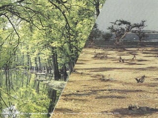 Fonte: KRAVCIK,Michal.Voices of water:Water for the third millenium. People and Water. Slovakia,2000.
 