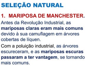 2 AULA PROCESSOS DE EVOLUÇÃO etologia.pptx