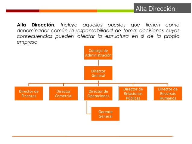 Estructura y áreas de un hotel. Alta Dirección