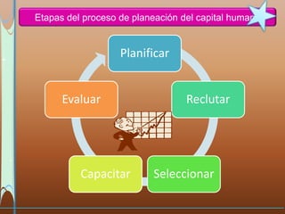 Etapas del proceso de planeación del capital humano


                   Planificar


      Evaluar                     Reclutar




          Capacitar       Seleccionar
 