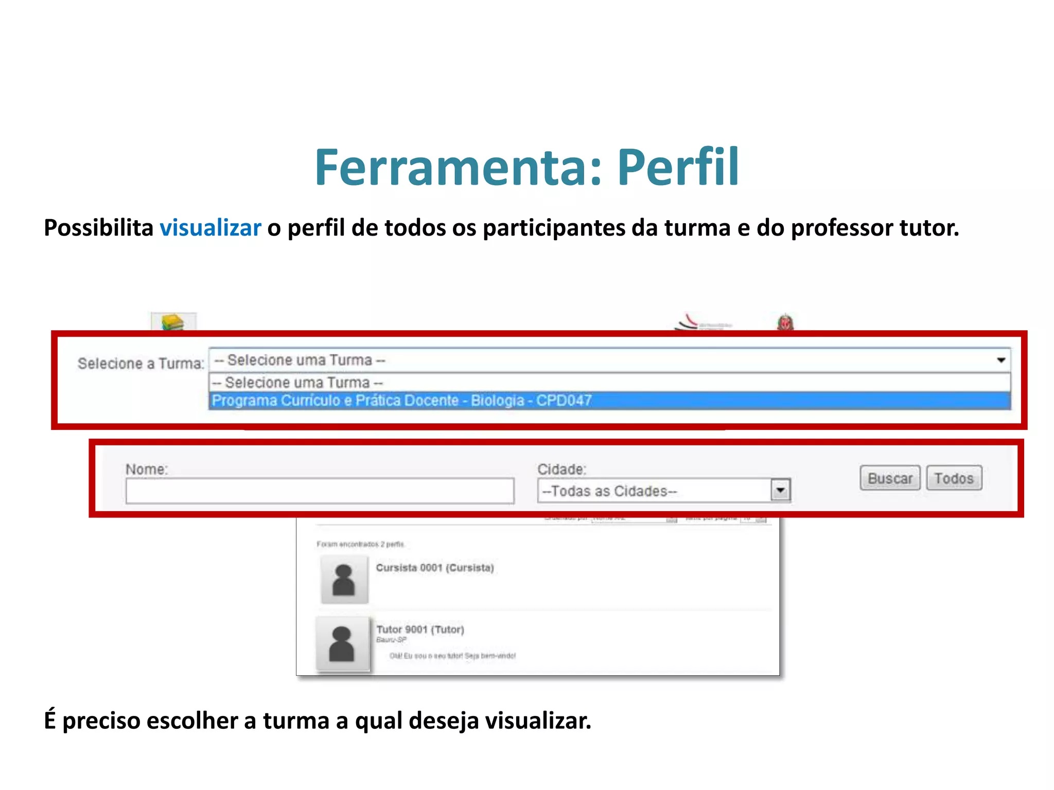É preciso escolher a turma a qual deseja visualizar.
Ferramenta: Perfil
Possibilita visualizar o perfil de todos os participantes da turma e do professor tutor.
 
