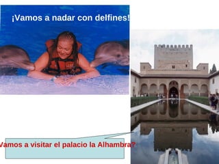 ¡Vamos a nadar con delfines!




Vamos a visitar el palacio la Alhambra?
 