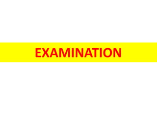 EXAMINATION
 