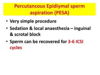 Percutancous Epidiymal sperm
aspiration (PESA)
• Very simple procedure
• Sedation & local anaesthesia – inguinal
& scrotal block
• Sperm can be recovered for 3-6 ICSI
cycles
 
