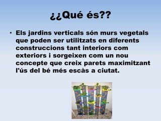¿¿Qué és??
• Els jardins verticals són murs vegetals
que poden ser utilitzats en diferents
construccions tant interiors com
exteriors i sorgeixen com un nou
concepte que creix parets maximitzant
l'ús del bé més escàs a ciutat.
 