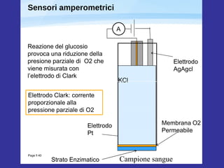 Sensori amperometrici 
Elettrodo 
AgAgcl 
A 
KCl 
Reazione del glucosio 
provoca una riduzione della 
presione parziale di O2 che 
viene misurata con 
l’elettrodo di Clark 
Elettrodo Clark: corrente 
proporzionale alla 
pressione parziale di O2 
Page  40 
Elettrodo 
Pt 
Membrana O2 
Permeabile 
Strato Enzimatico 
Campione sangue 
 