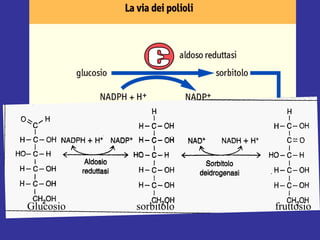 Glucosio sorbitolo fruttosio 
 