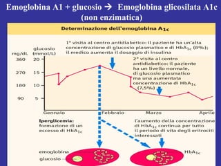 Emoglobina A1 + glucosio  Emoglobina glicosilata A1c 
(non enzimatica) 
 